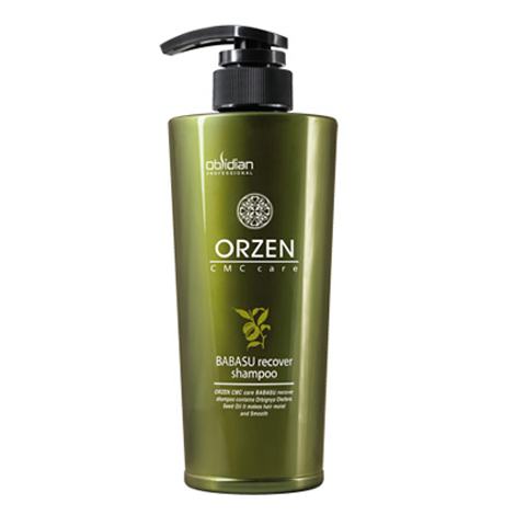 ORZEN CMC CARE Babasu Recover 洗发水